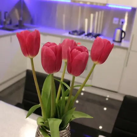 Apartment Apartament Prestige Old Town Krakow